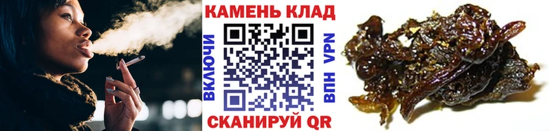 ГАШИШ Premium  MEGA вход  Зарайск 