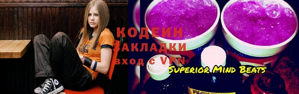 индика Алзамай