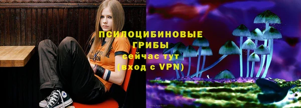 индика Алзамай