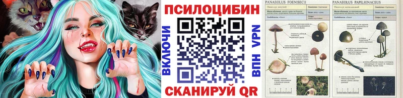 Псилоцибиновые грибы прущие грибы  купить закладку  ОМГ ОМГ   Зарайск 